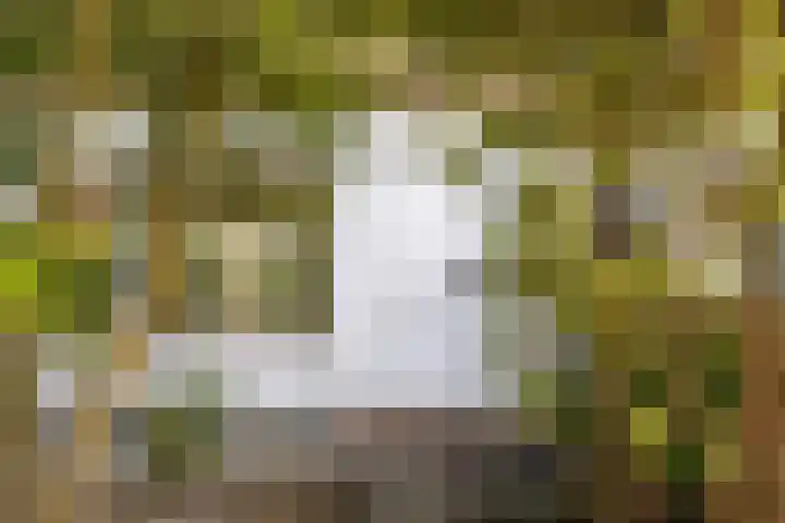 Irenelaan 18 Nieuwkoop thumbnail 5