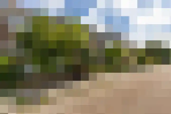 Irenelaan 18 Nieuwkoop thumbnail 6