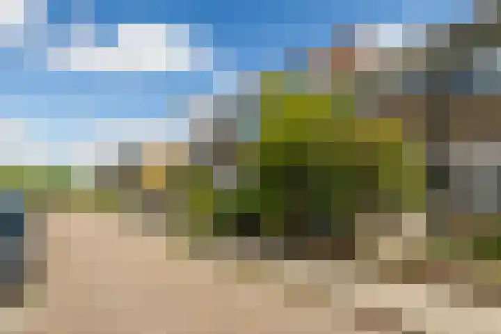 Irenelaan 18 Nieuwkoop thumbnail 7