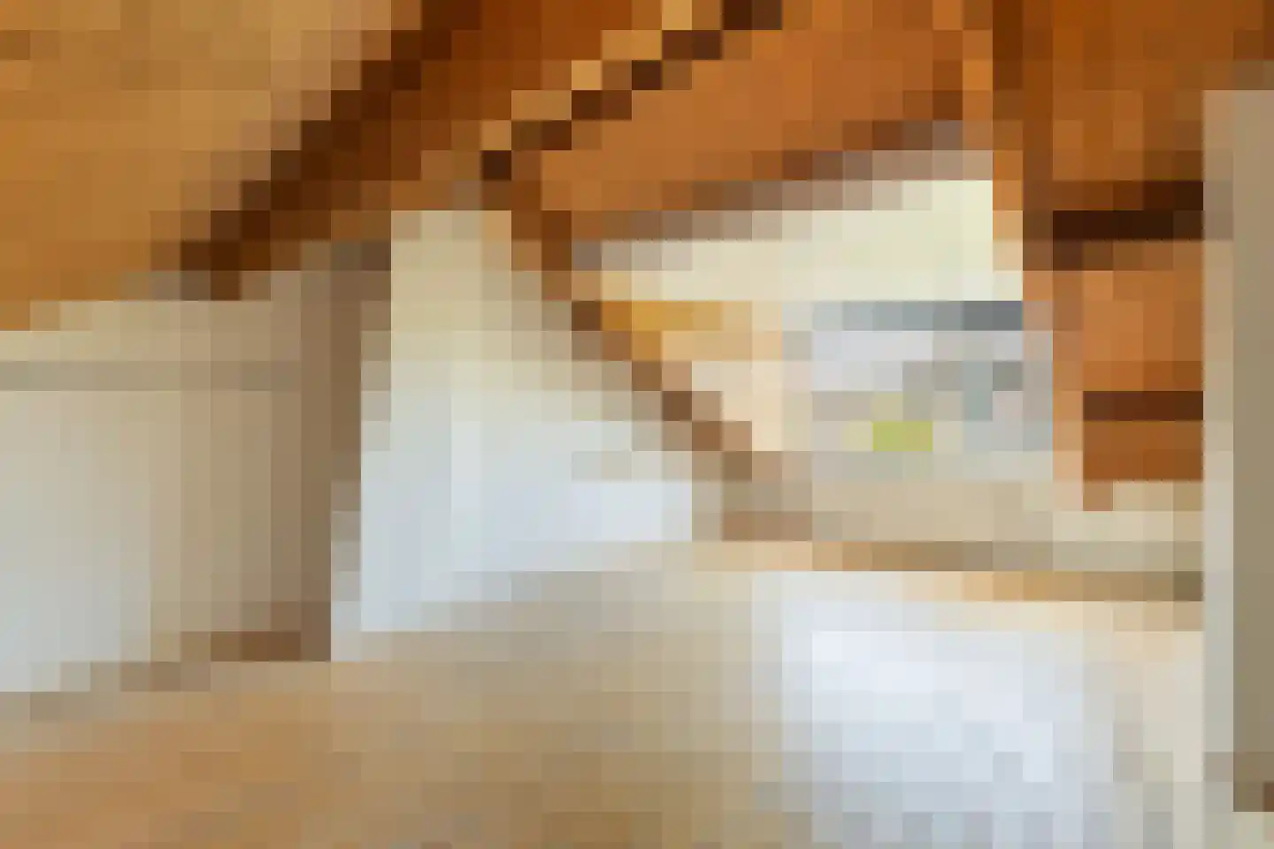 Irenelaan 19 Soest thumbnail 21