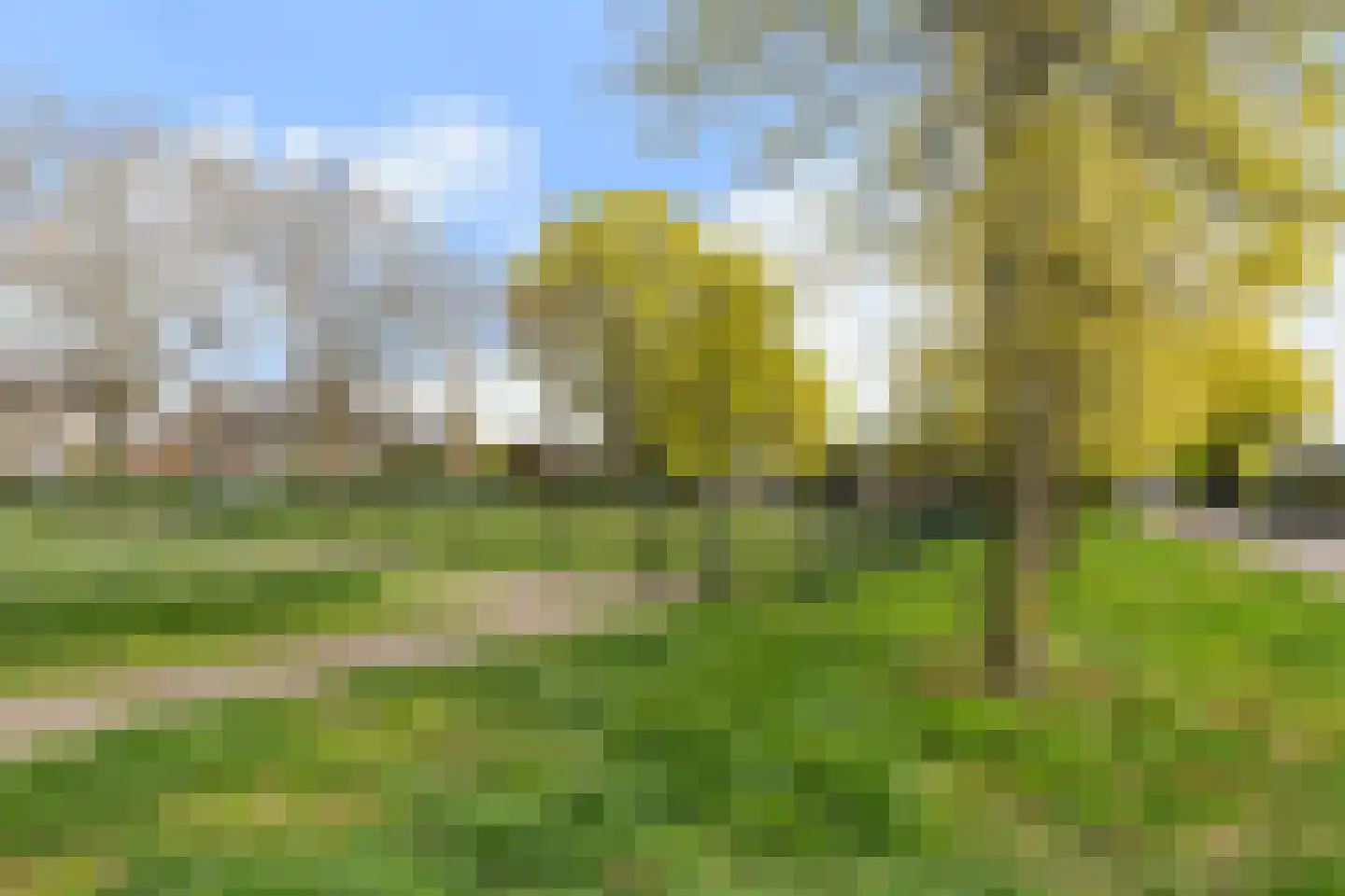 Irenelaan 19 Soest thumbnail 30