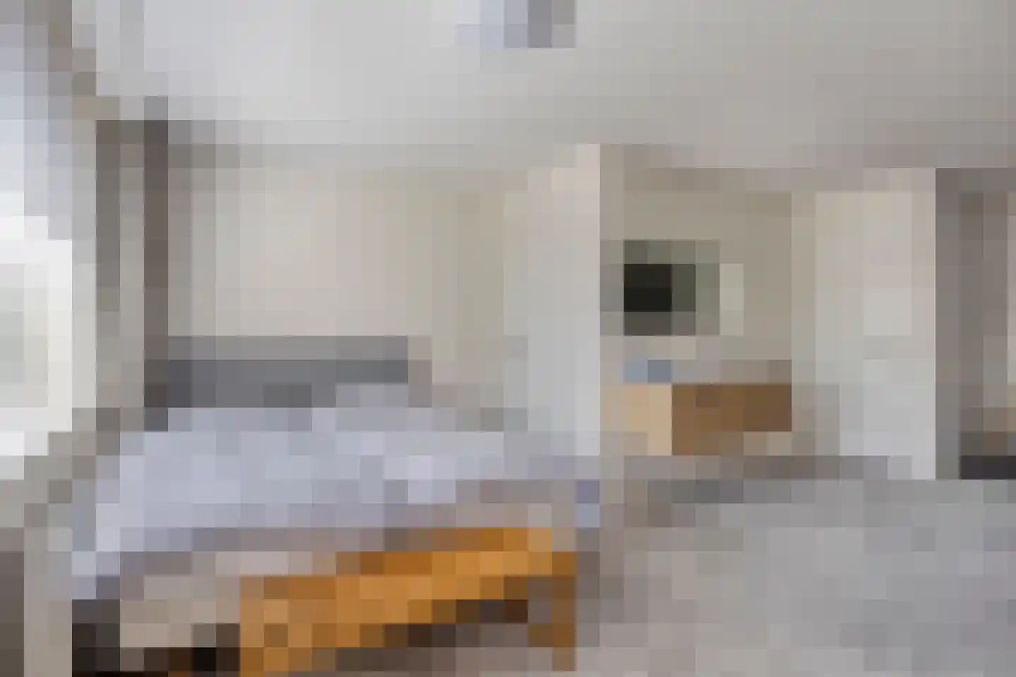 Irenelaan 2 Alkmaar thumbnail 28
