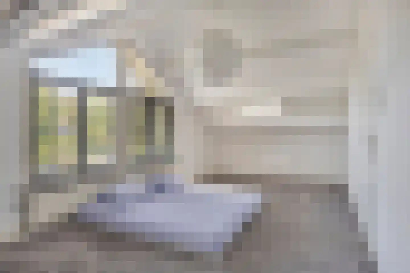 Irenelaan 2 Alkmaar thumbnail 37