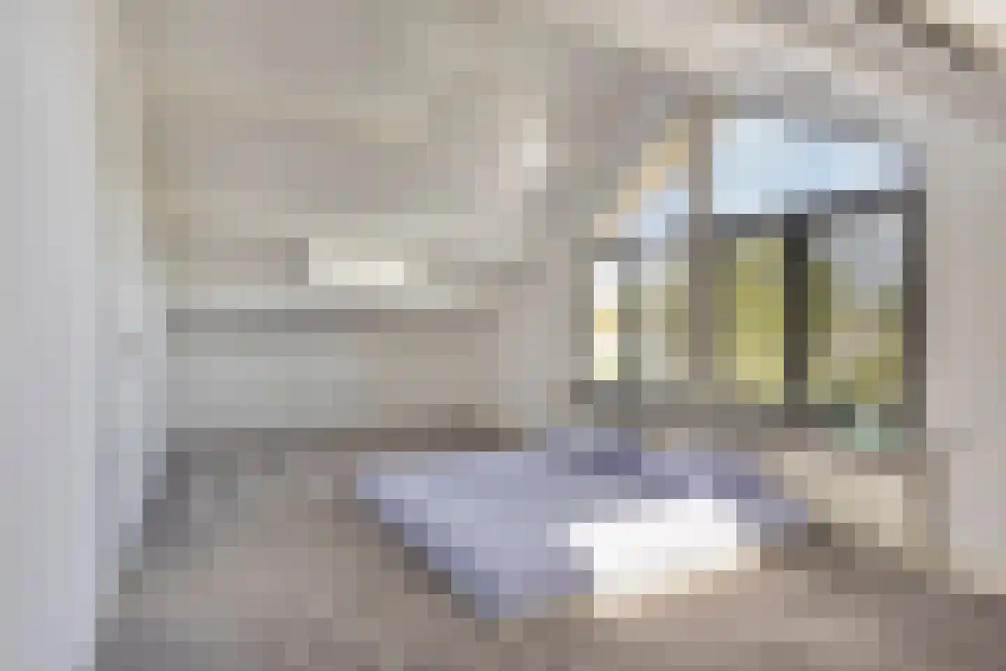 Irenelaan 2 Alkmaar thumbnail 41
