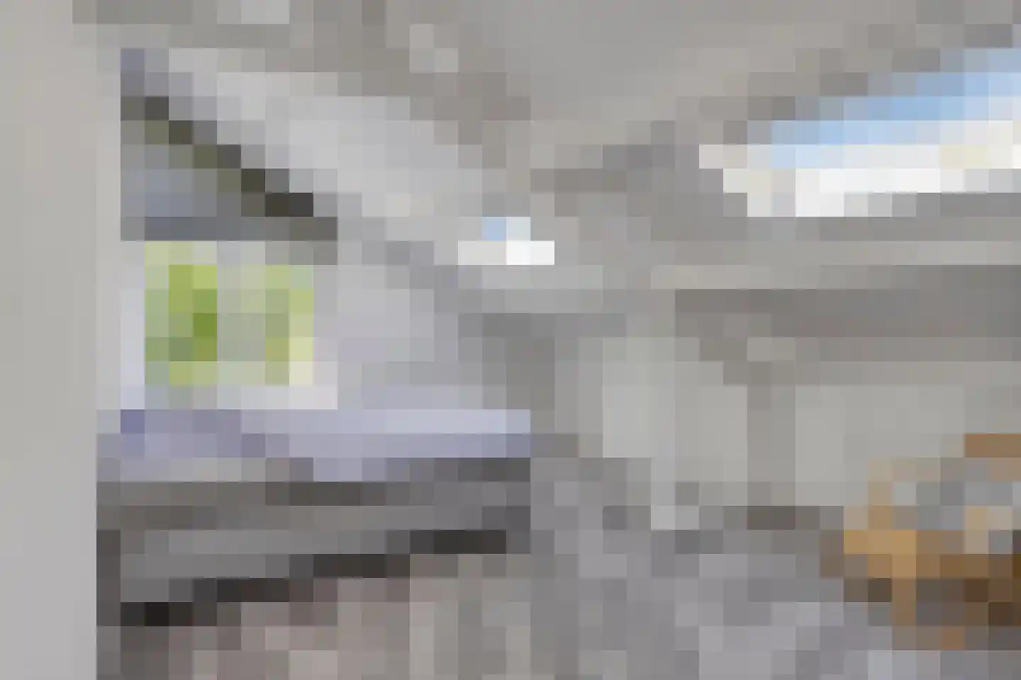 Irenelaan 2 Alkmaar thumbnail 43