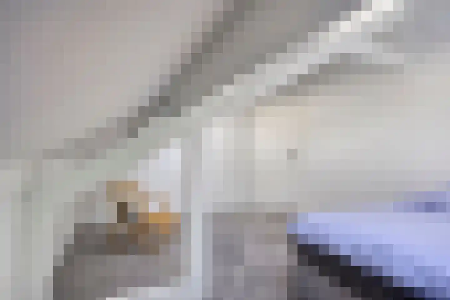 Irenelaan 2 Alkmaar thumbnail 44