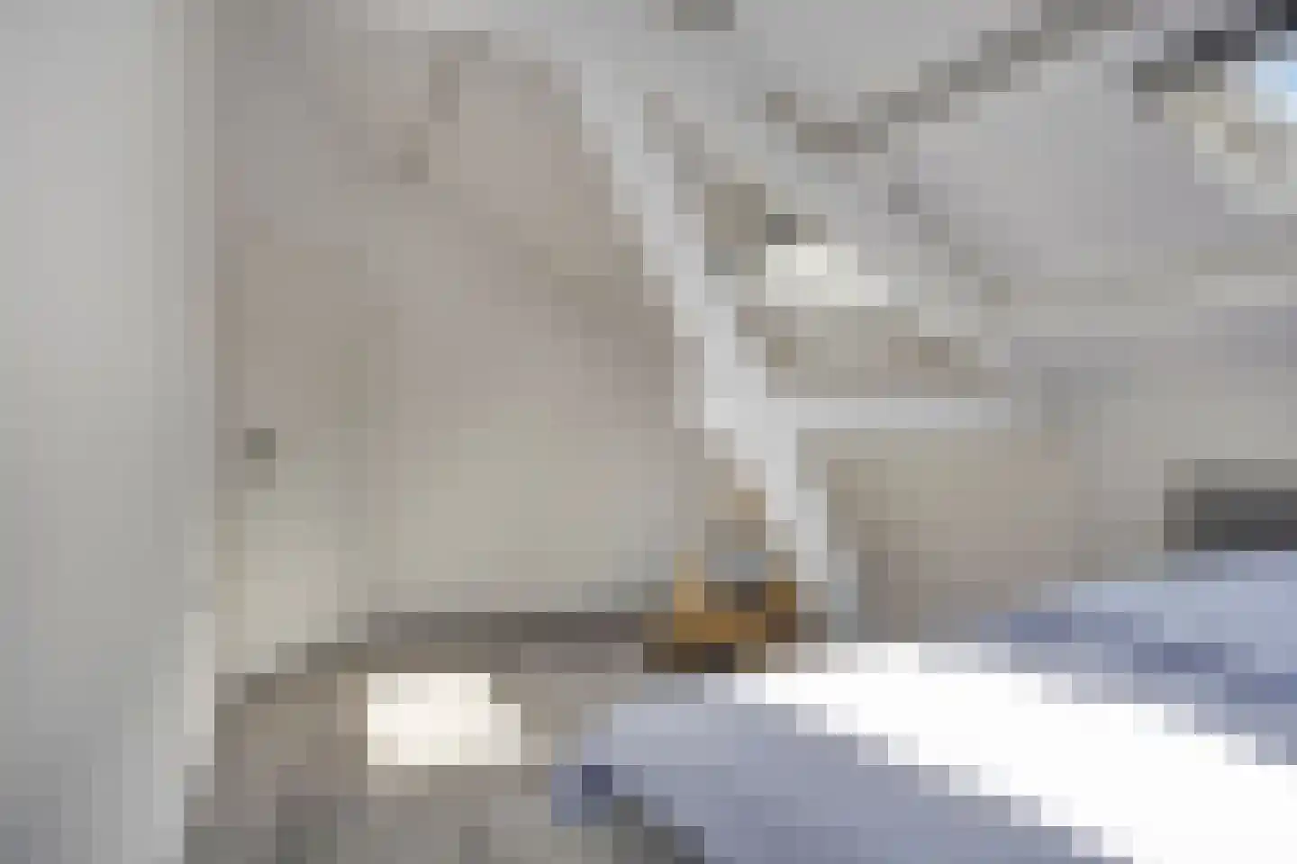 Irenelaan 2 Alkmaar thumbnail 46