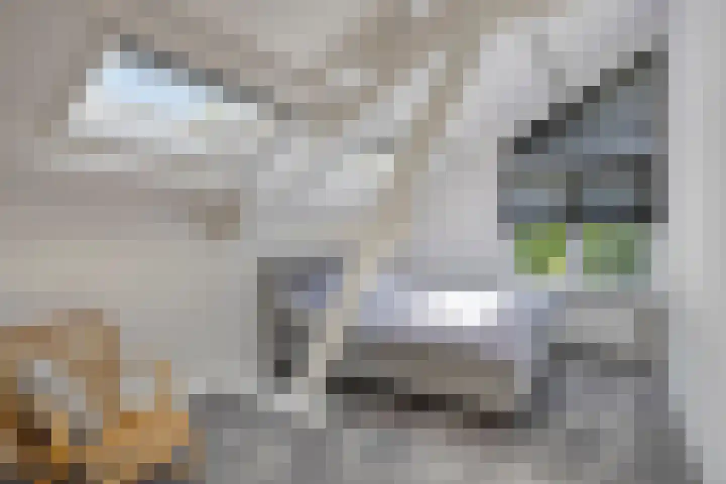 Irenelaan 2 Alkmaar thumbnail 47