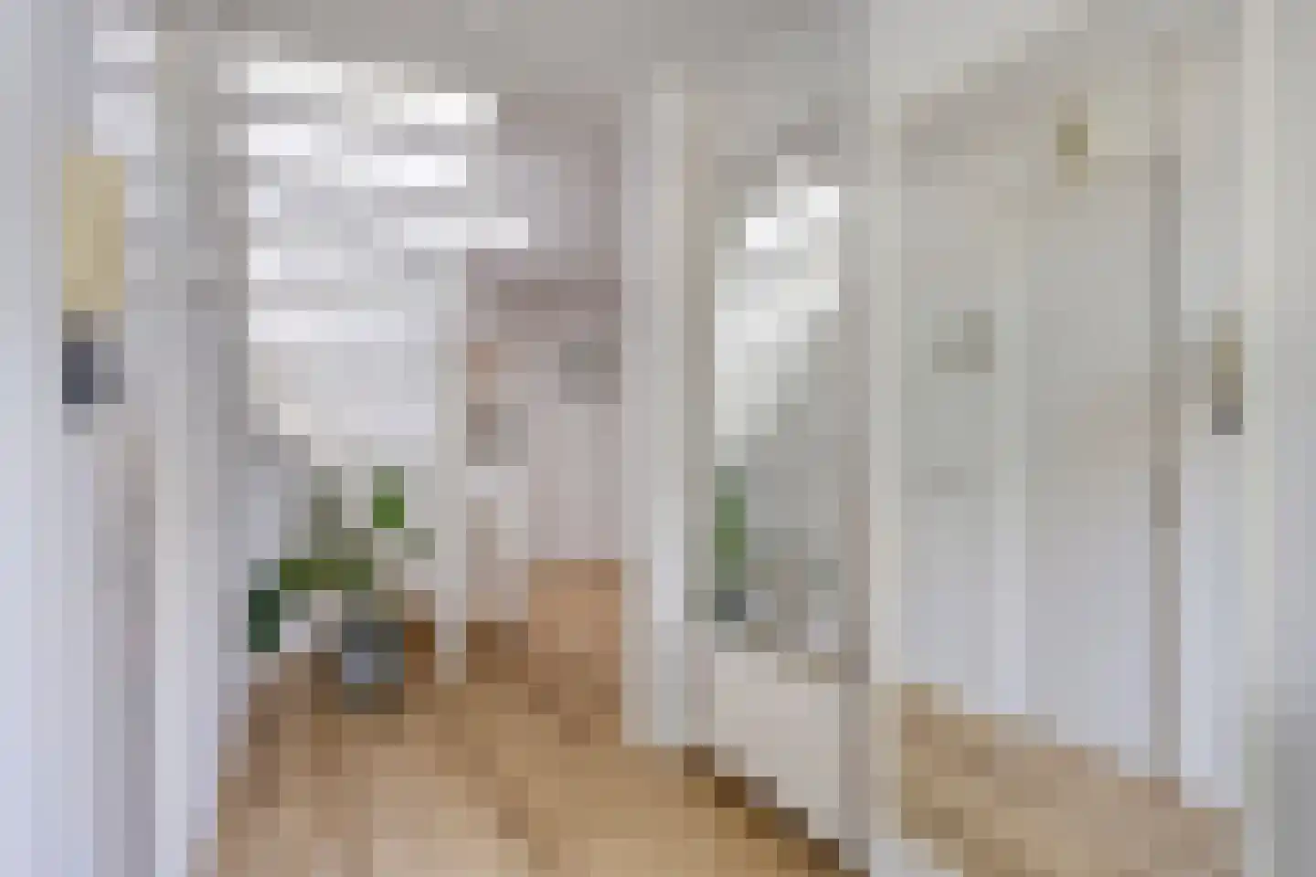 Irenelaan 2 Alkmaar thumbnail 5