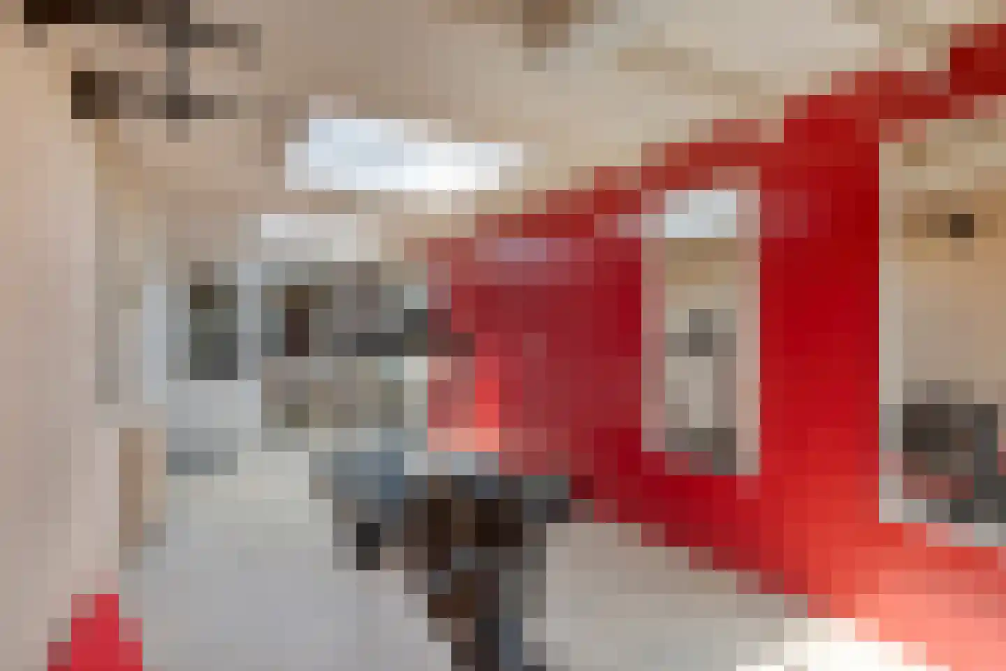 Irenelaan 2 Alkmaar thumbnail 60