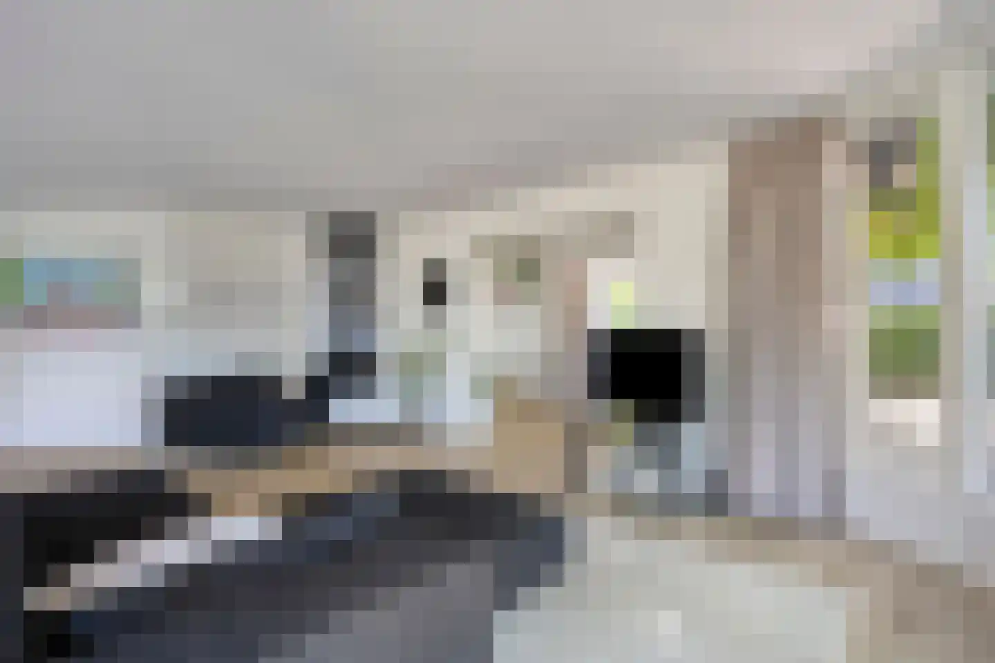 Irenelaan 2 Alkmaar thumbnail 8