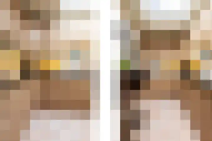 Irenelaan 2 b Waalre thumbnail 11