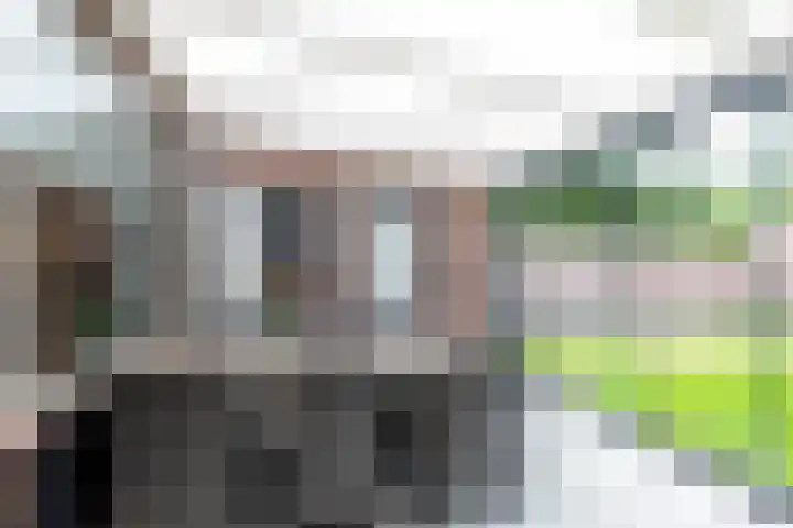 Irenelaan 2 b Waalre thumbnail 16