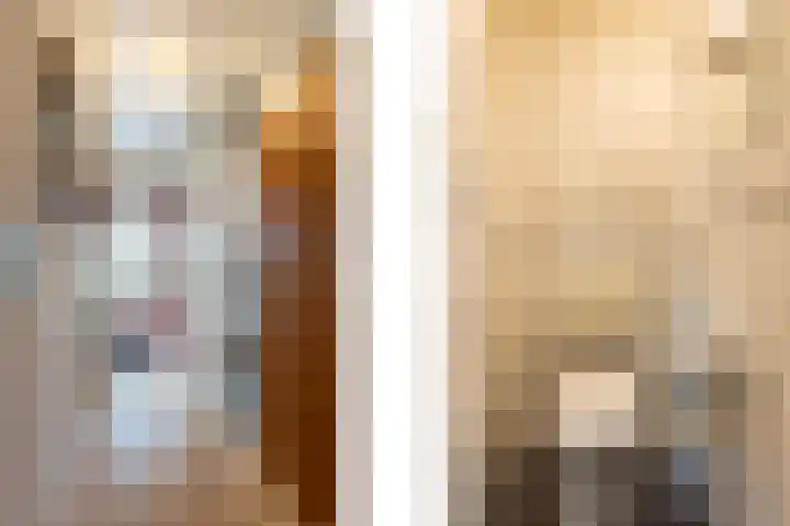 Irenelaan 2 b Waalre thumbnail 17