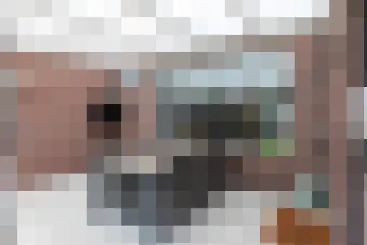 Irenelaan 2 b Waalre thumbnail 25