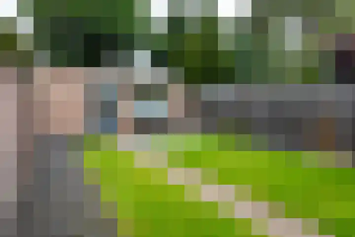 Irenelaan 2 b Waalre thumbnail 26