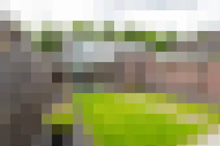 Irenelaan 2 b Waalre thumbnail 27