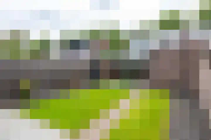 Irenelaan 2 b Waalre thumbnail 28