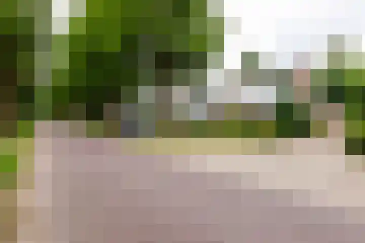 Irenelaan 2 b Waalre thumbnail 31