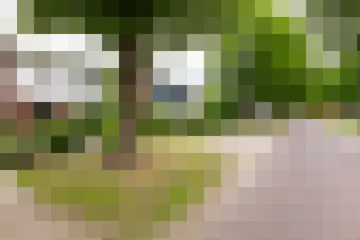 Irenelaan 2 b Waalre thumbnail 32
