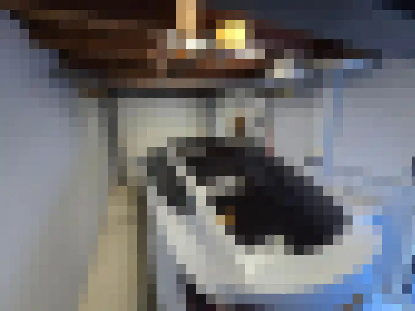 Irenelaan 2 Nieuwkoop thumbnail 36