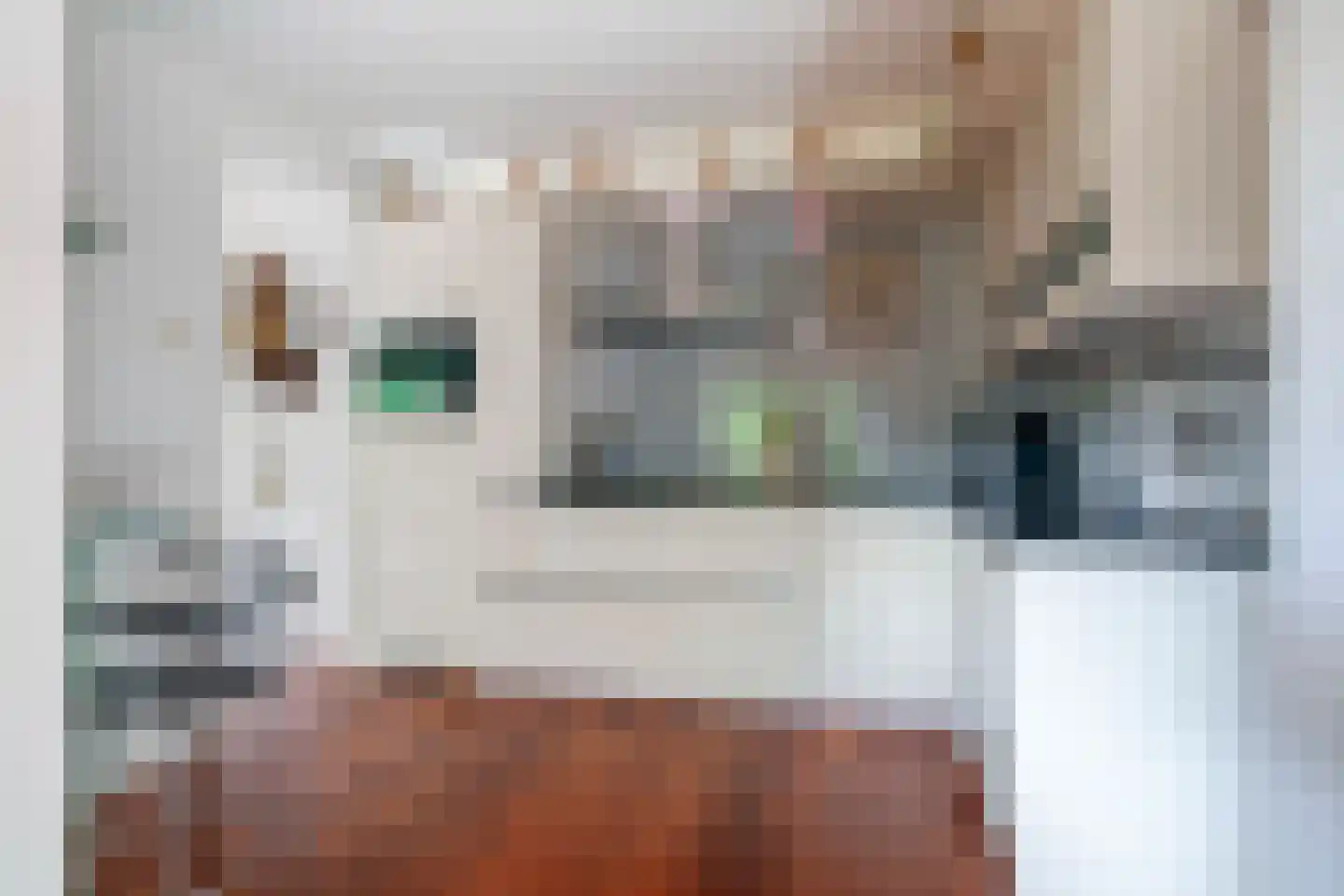 Irenelaan 2 Zoetermeer thumbnail 19