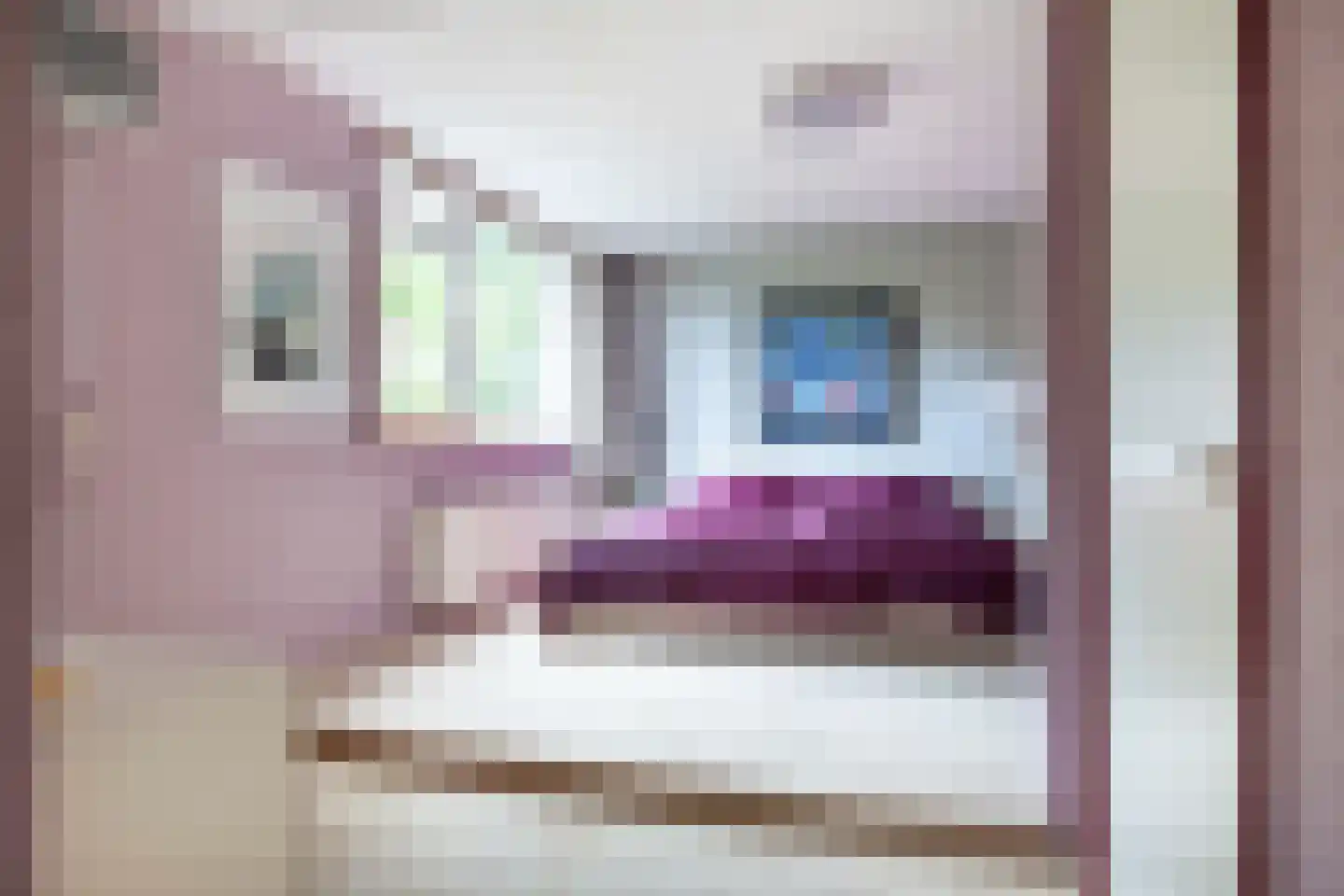 Irenelaan 2 Zoetermeer thumbnail 26