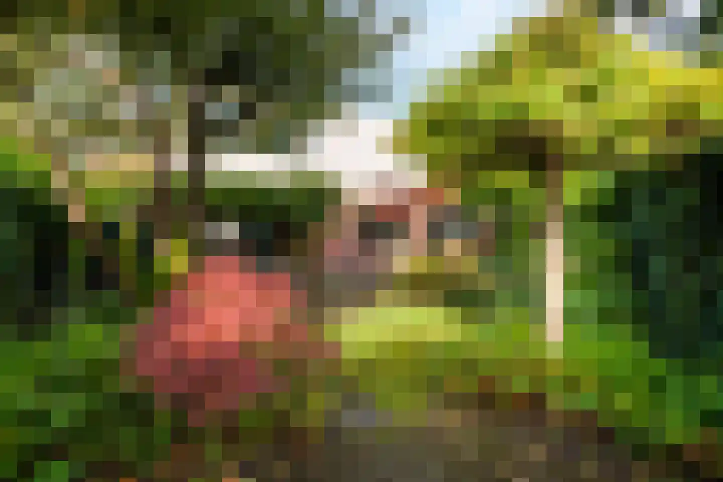 Irenelaan 2 Zoetermeer thumbnail 36