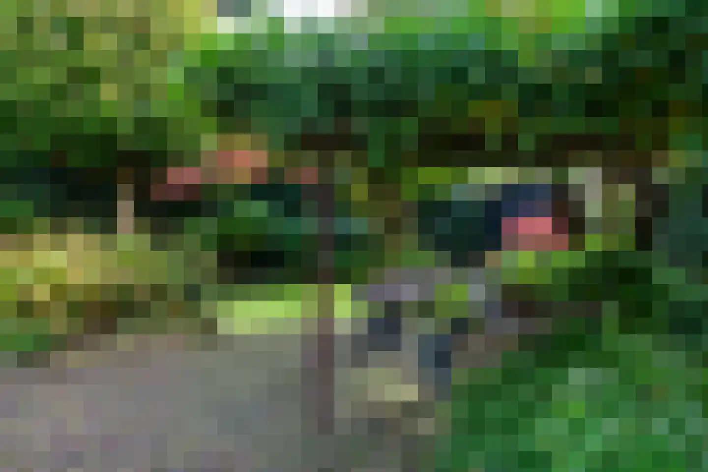 Irenelaan 2 Zoetermeer thumbnail 37