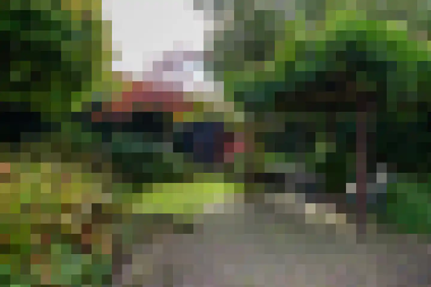 Irenelaan 2 Zoetermeer thumbnail 7
