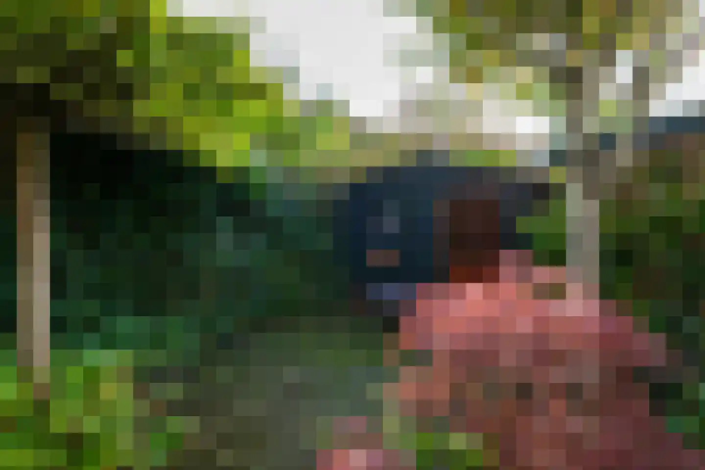 Irenelaan 2 Zoetermeer thumbnail 8