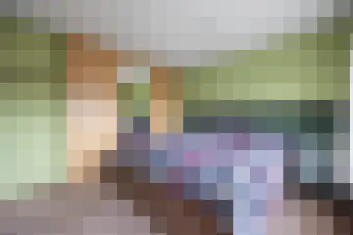 Irenelaan 20 Vlijmen thumbnail 16
