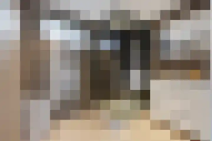 Irenelaan 20 Vlijmen thumbnail 20