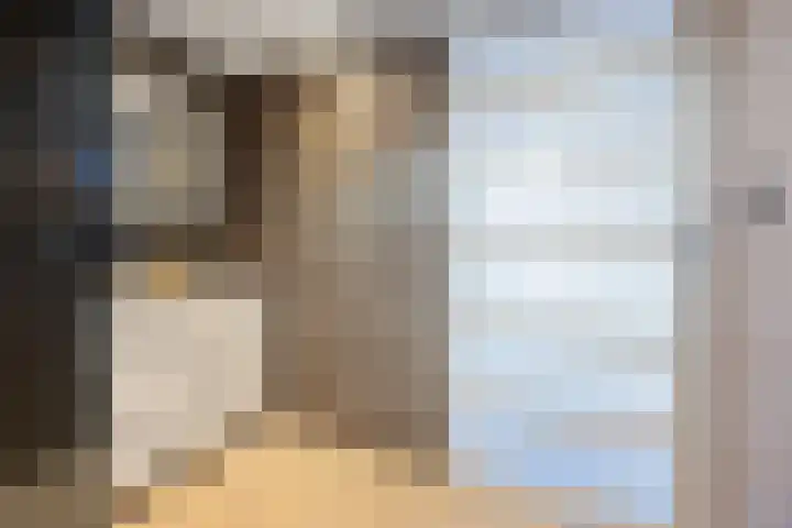 Irenelaan 20 Vlijmen thumbnail 21