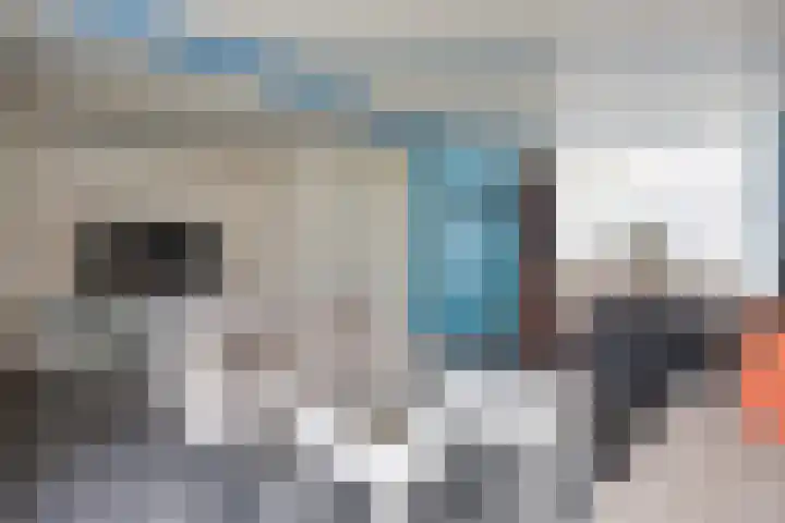Irenelaan 20 Vlijmen thumbnail 4