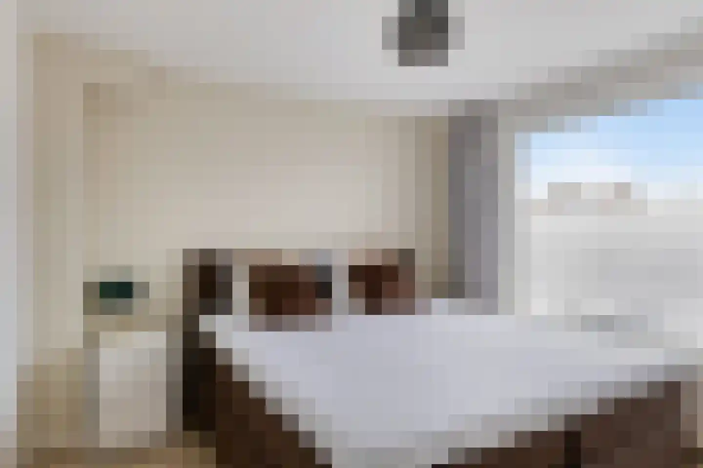 Irenelaan 21 Vlijmen thumbnail 14