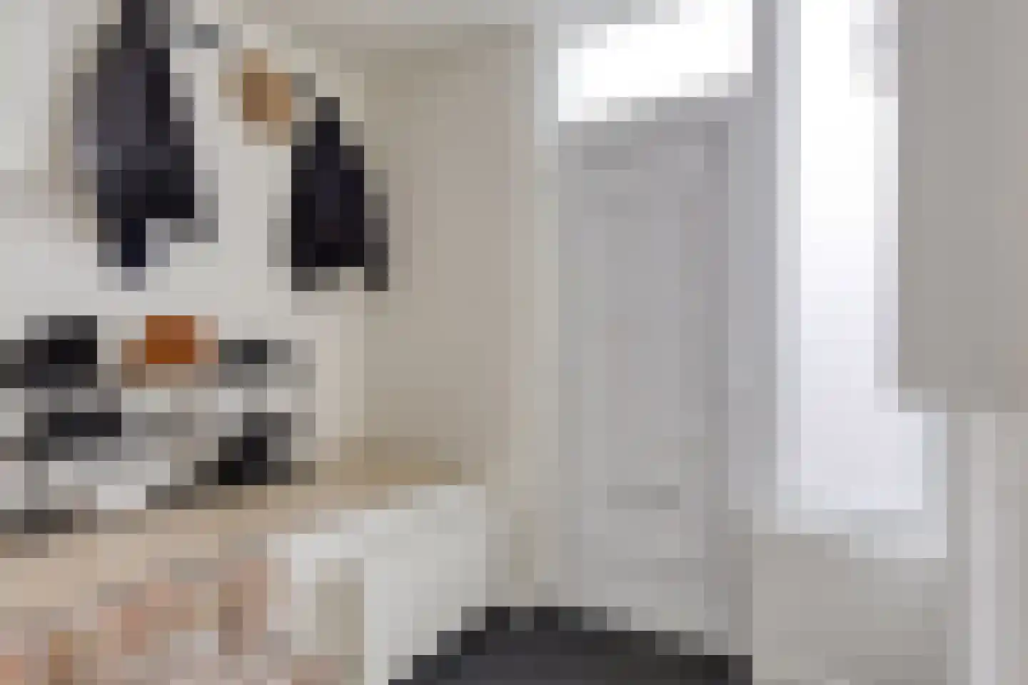 Irenelaan 21 Vlijmen thumbnail 5