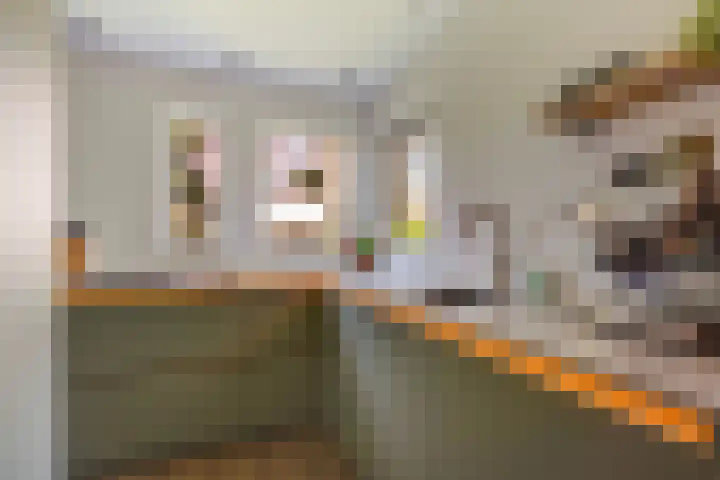Irenelaan 21 Zoetermeer thumbnail 14