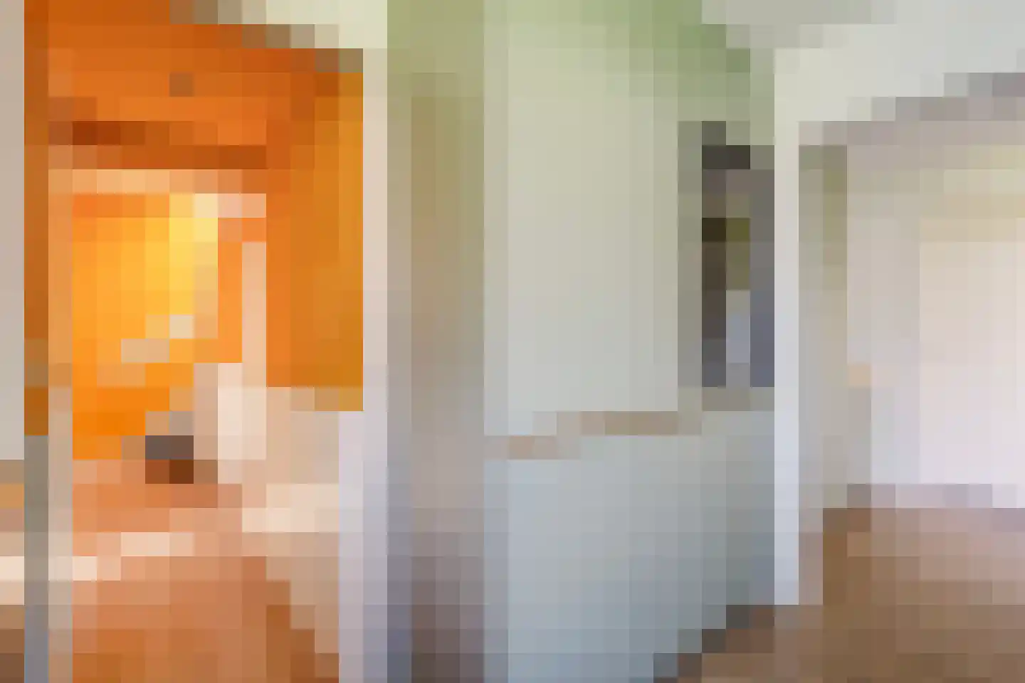 Irenelaan 21 Zoetermeer thumbnail 17