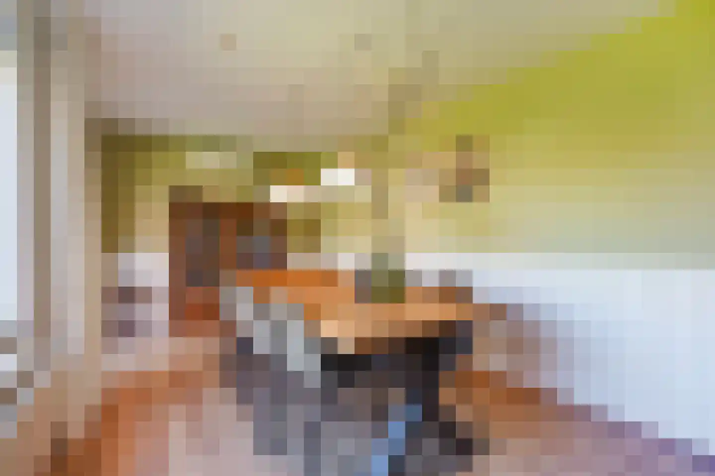 Irenelaan 21 Zoetermeer thumbnail 22