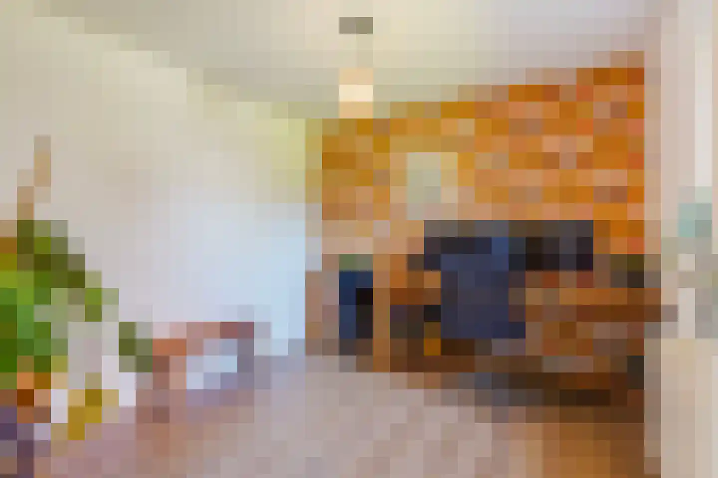 Irenelaan 21 Zoetermeer thumbnail 23