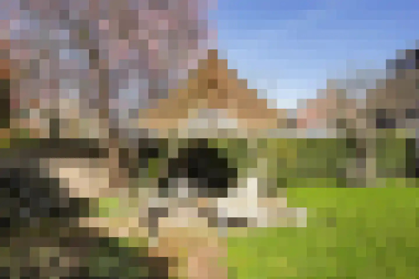 Irenelaan 21 Zoetermeer thumbnail 27