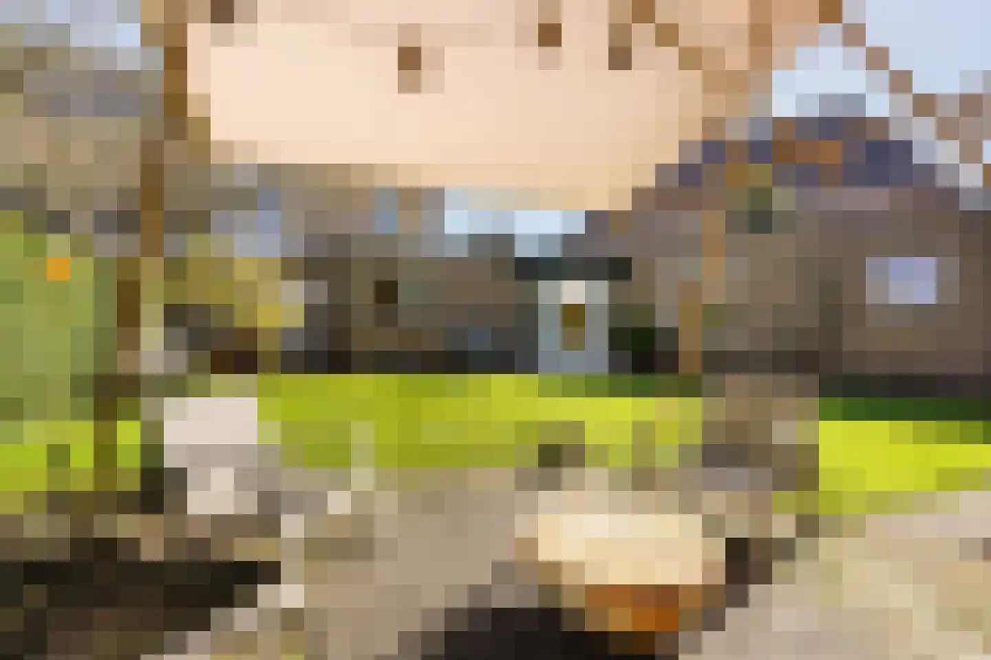 Irenelaan 21 Zoetermeer thumbnail 29