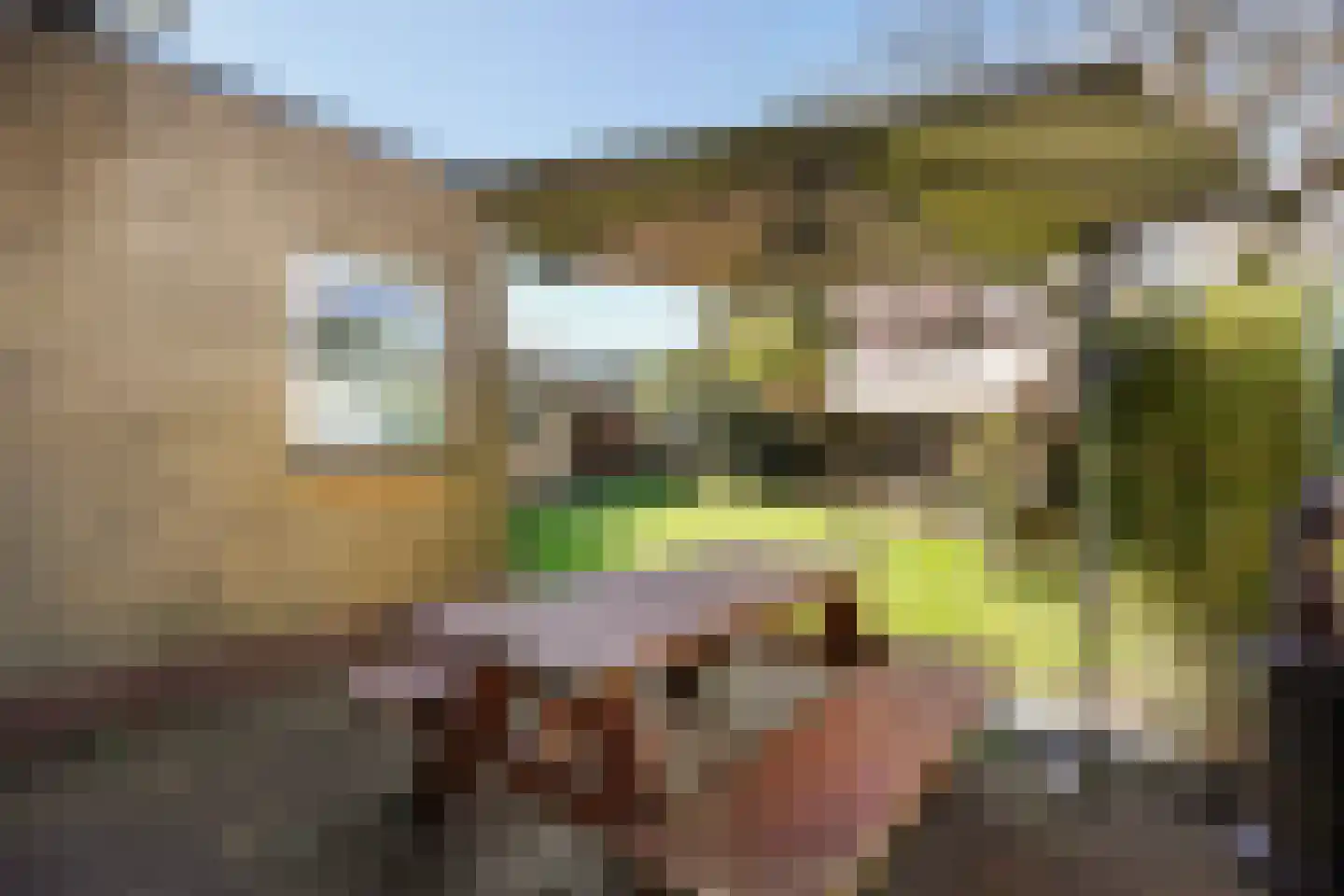 Irenelaan 21 Zoetermeer thumbnail 32
