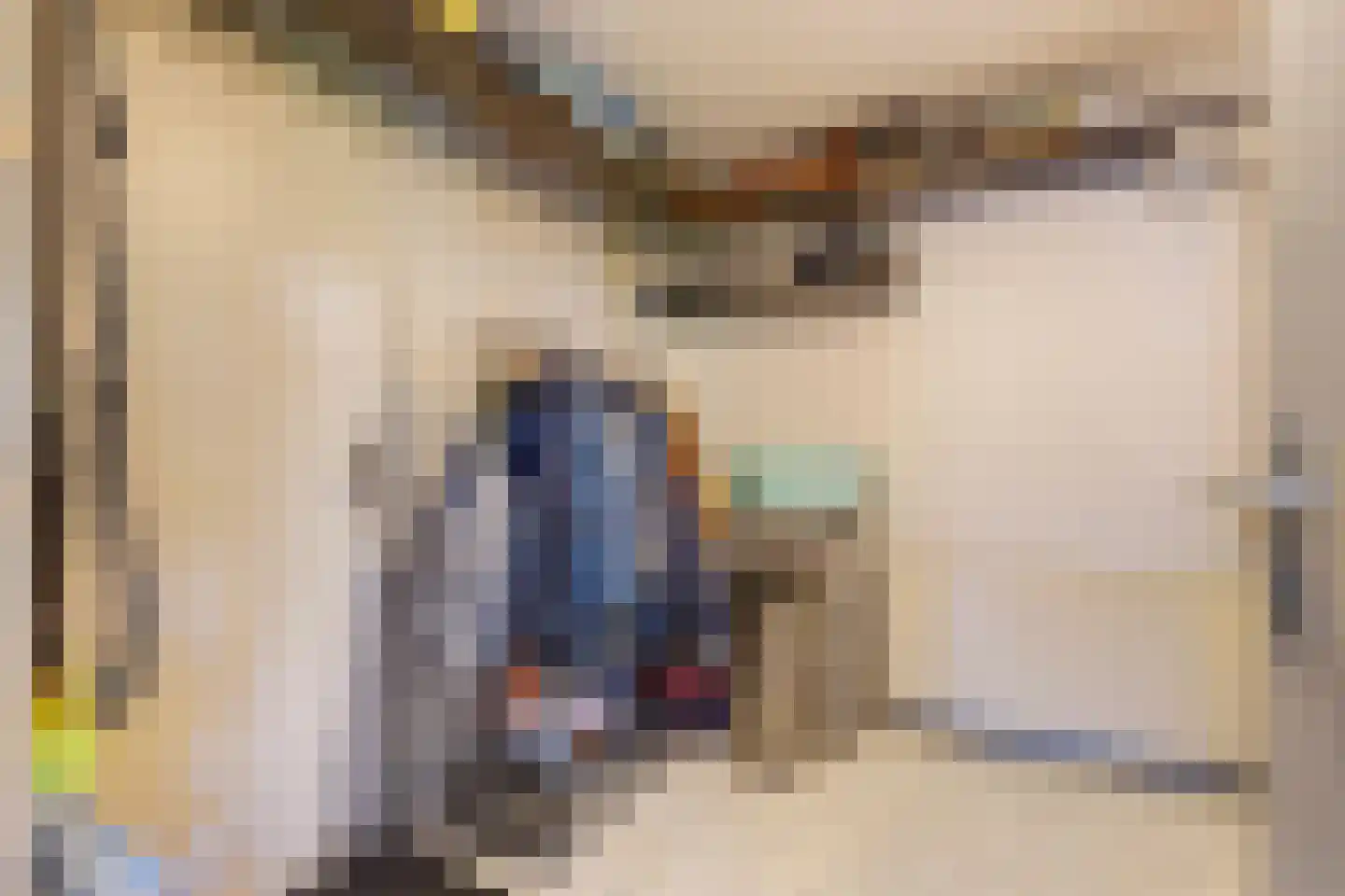 Irenelaan 21 Zoetermeer thumbnail 35