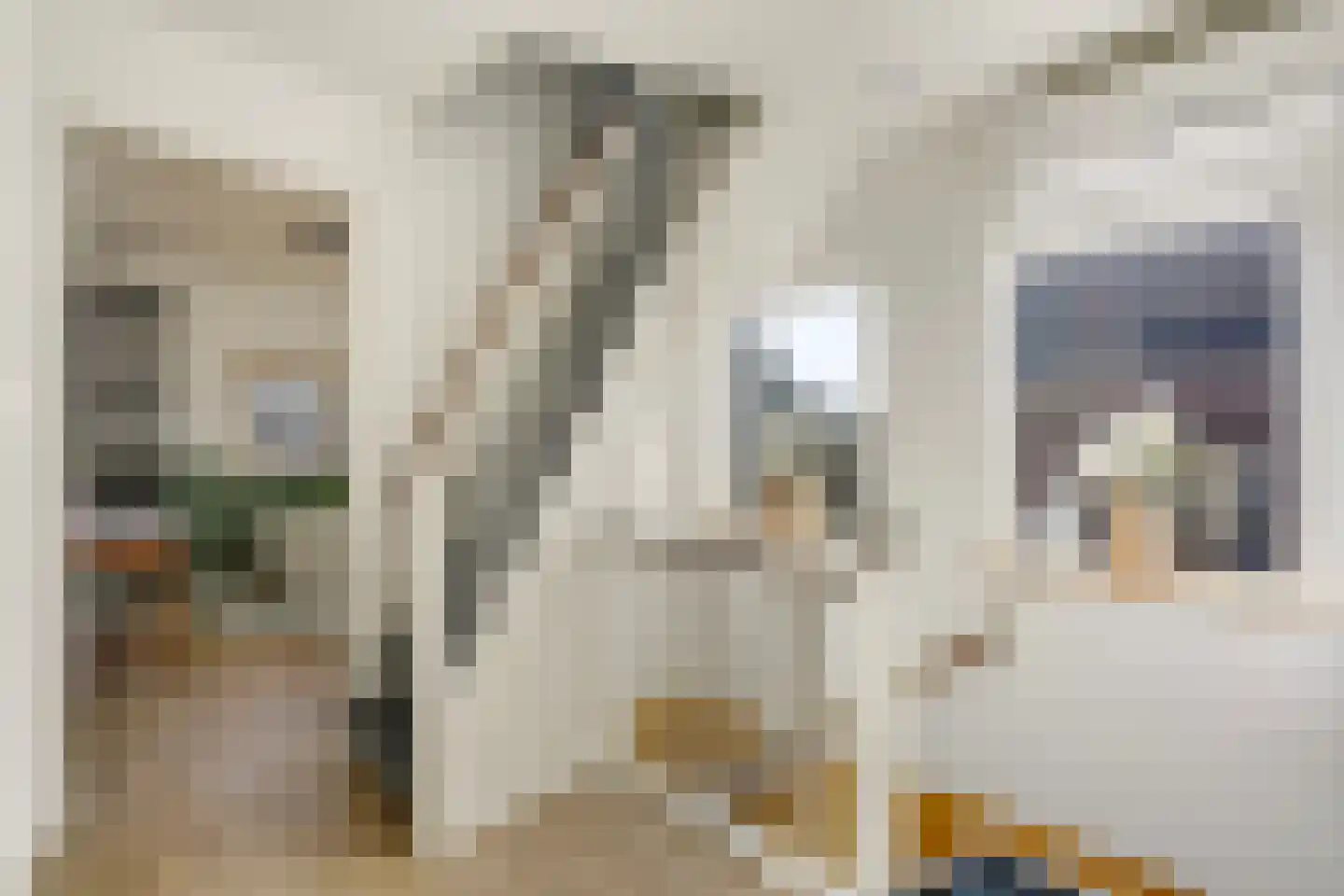 Irenelaan 21 Zoetermeer thumbnail 53