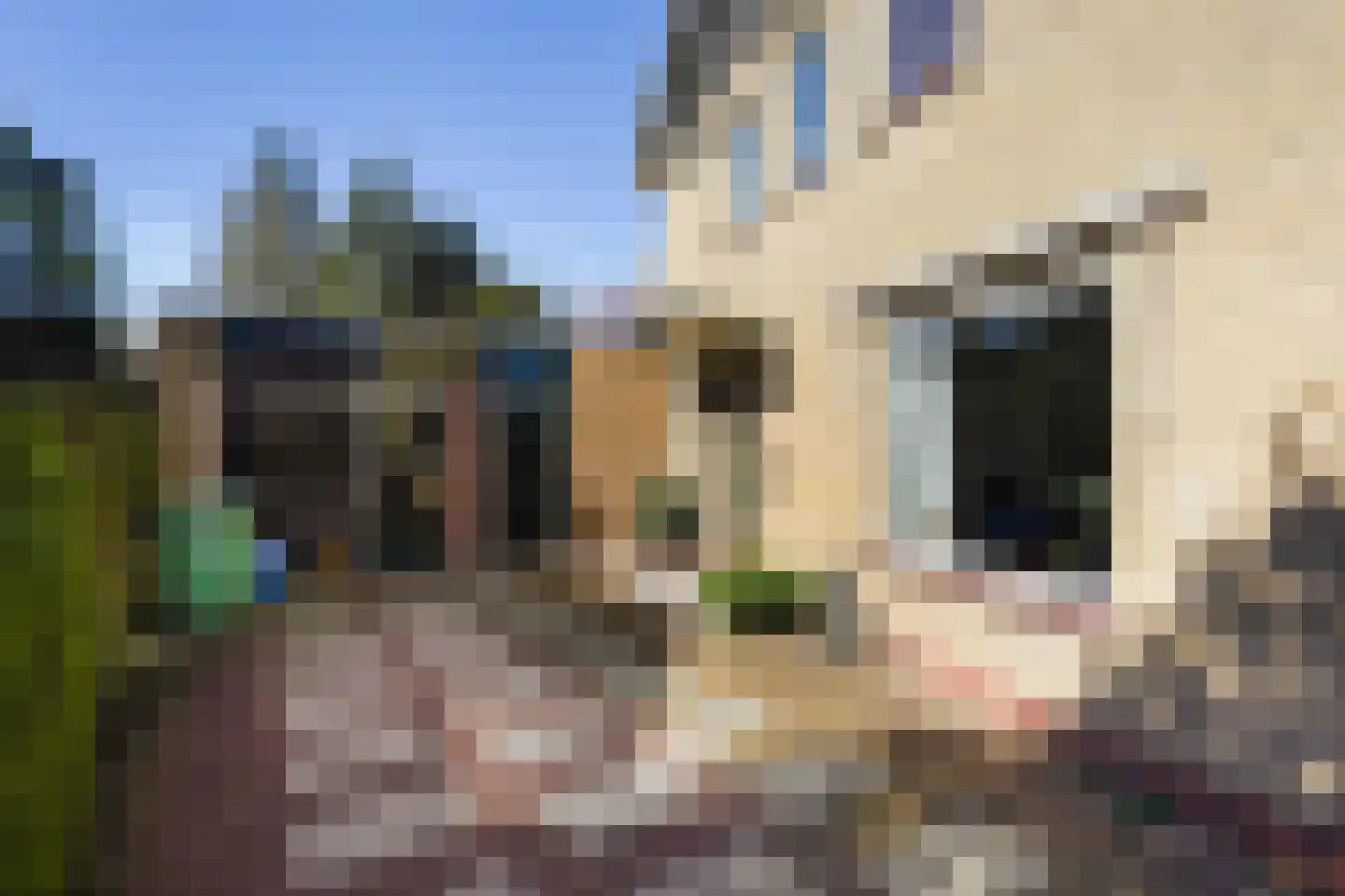 Irenelaan 21 Zoetermeer thumbnail 59