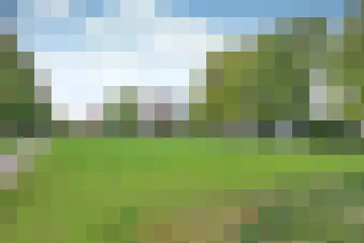 Irenelaan 22 Soest thumbnail 4