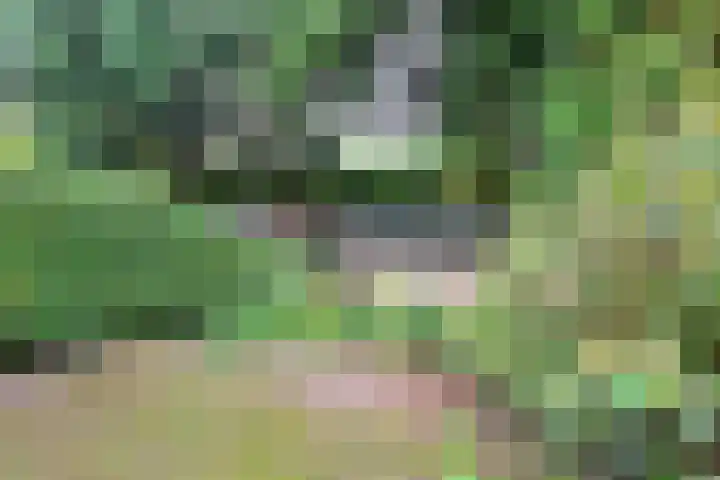 Irenelaan 22 Soest thumbnail 5