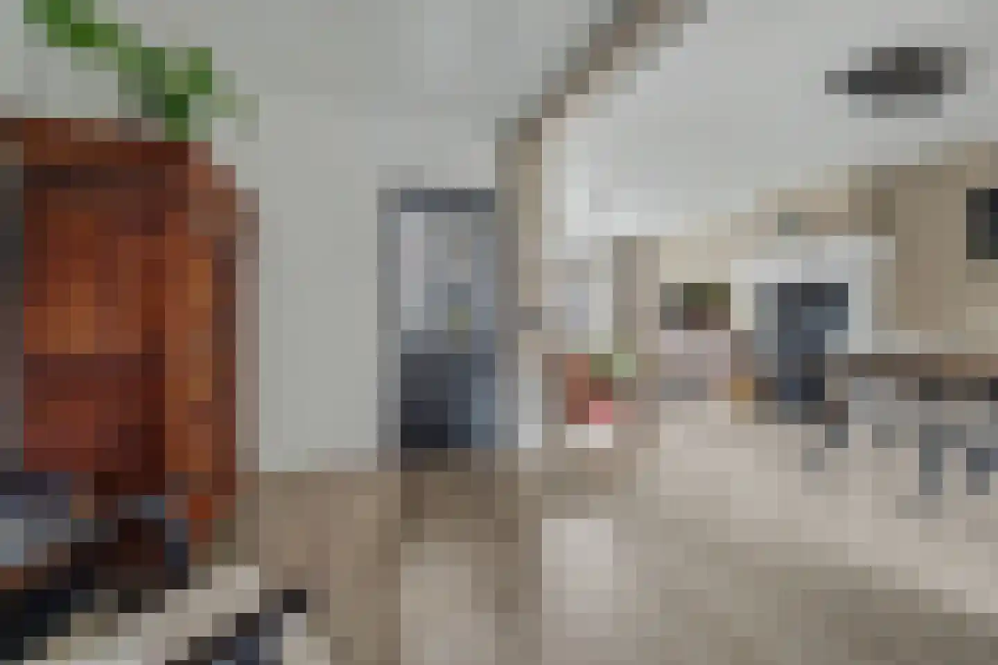 Irenelaan 28 Vlijmen thumbnail 10